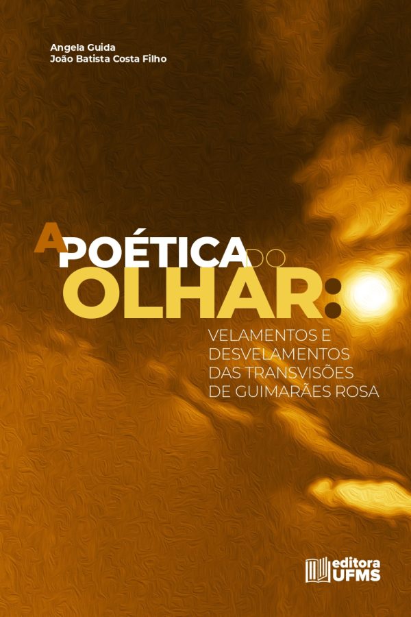 A poética do olhar: velamentos e desvelamentos das transvisões de Guimarães Rosa