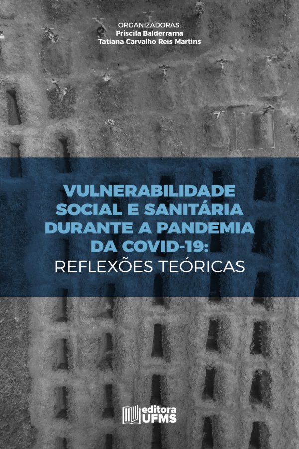 Vulnerabilidade social e sanitária durante a pandemia: reflexões teóricas