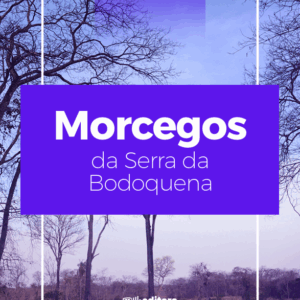 Morcegos da Serra da Bodoquena